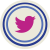 Share on Twitter